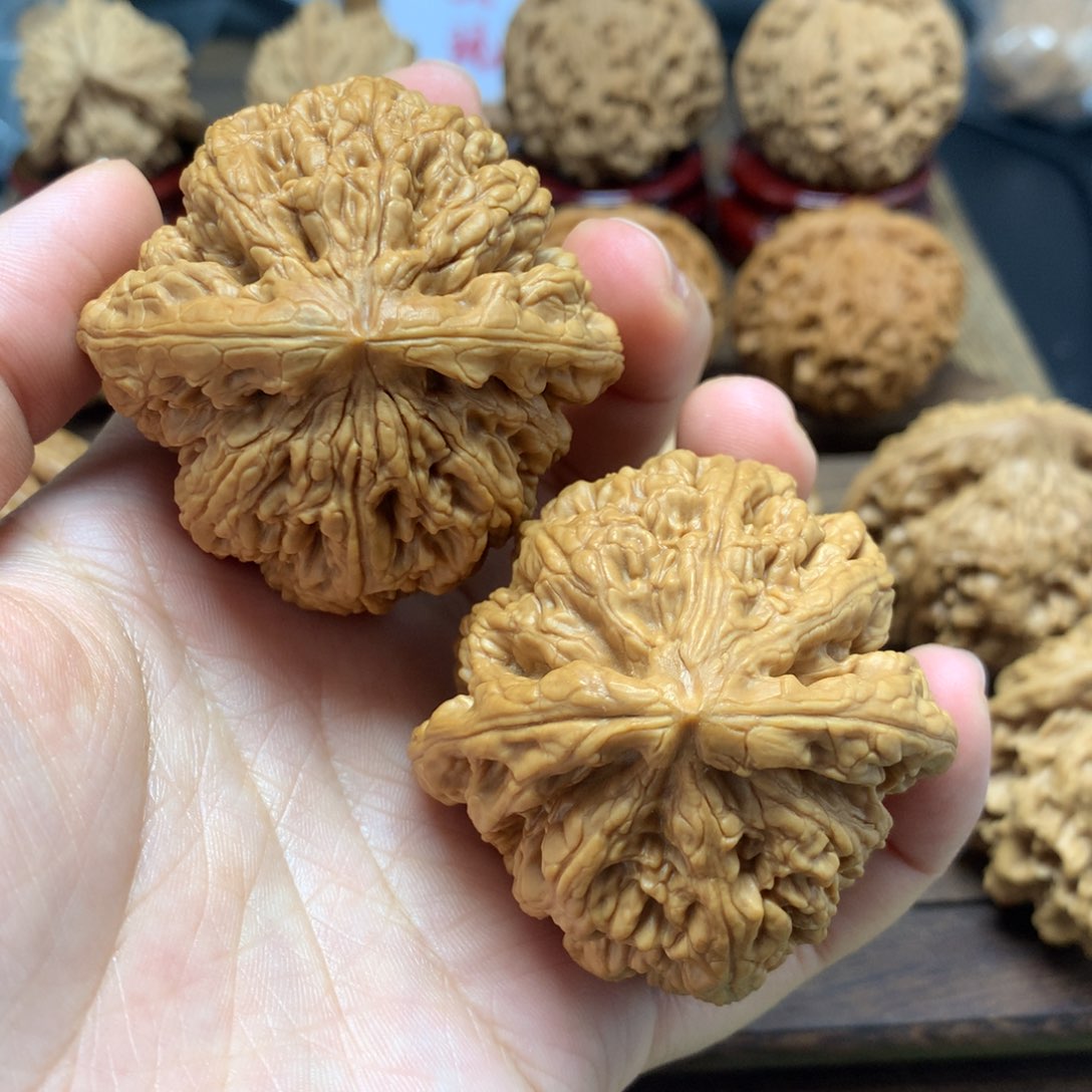 文玩核桃吊坠清*渡48粗筋