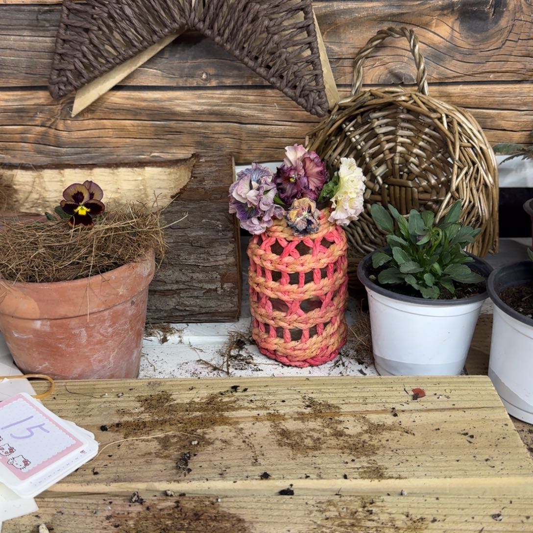 无花朵随机四颗角堇颜色随机