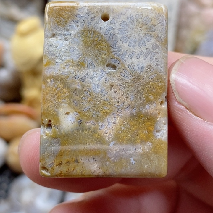 颈饰未镶嵌硅化珊瑚（珊瑚玉）有瑕 小