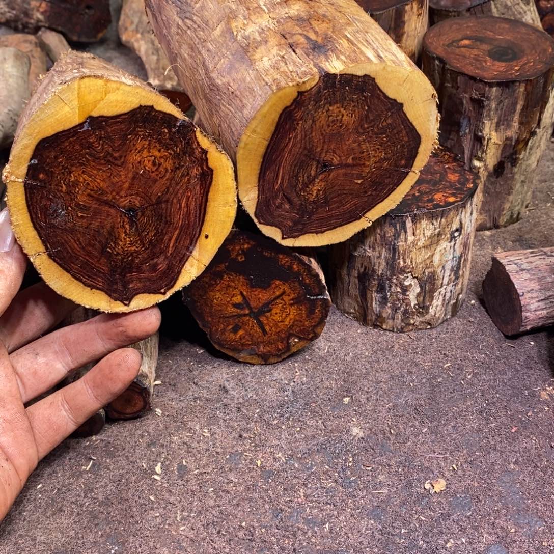 菇***品有机玻璃在线函数等方面