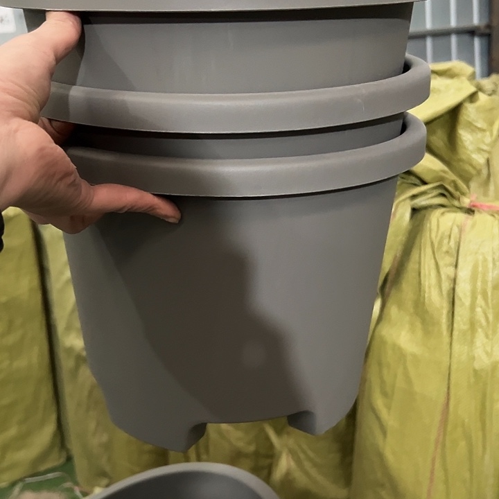 串色大球根31外径24高3个盆