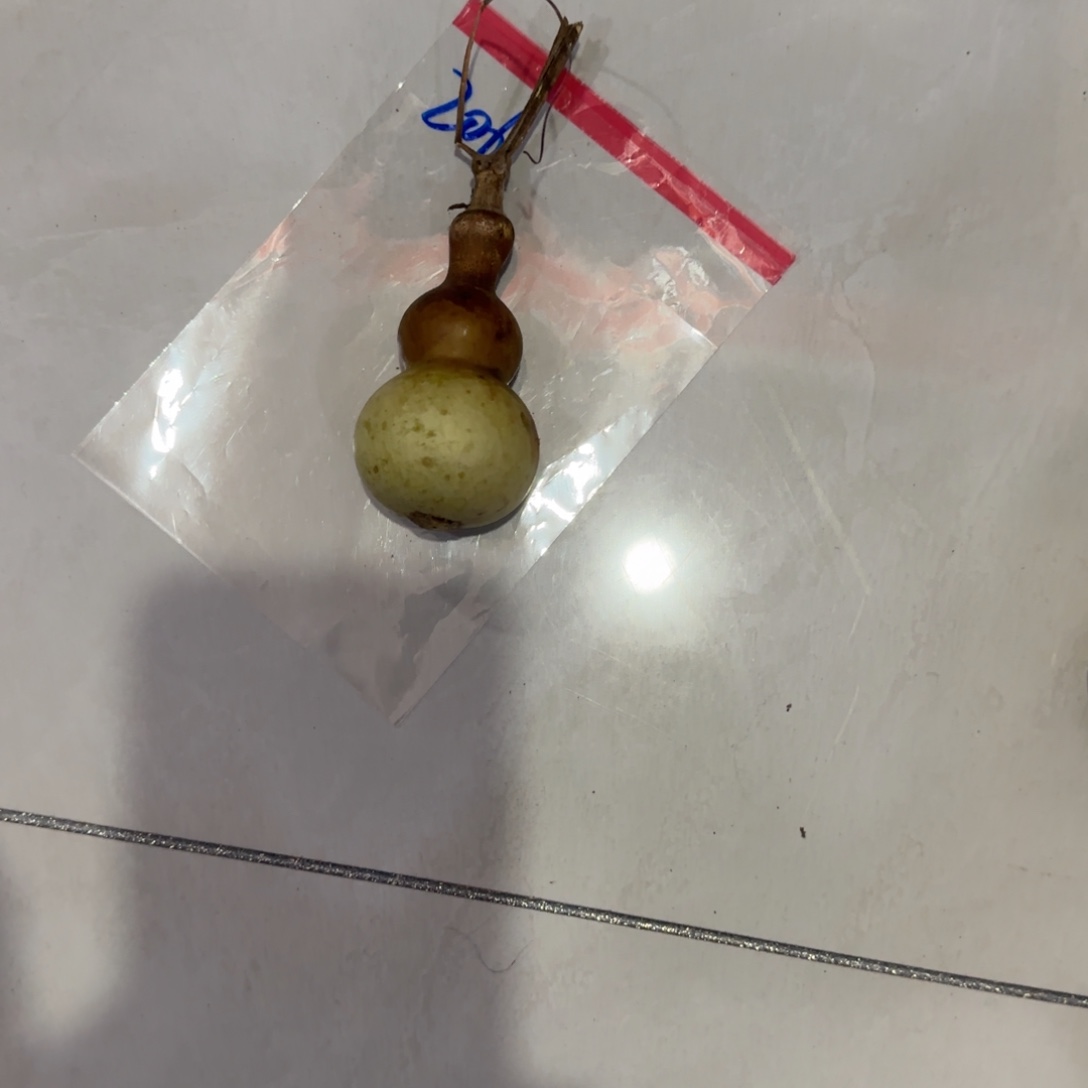 小***郎葫芦乐乐乐乐乐乐乐乐咯哦