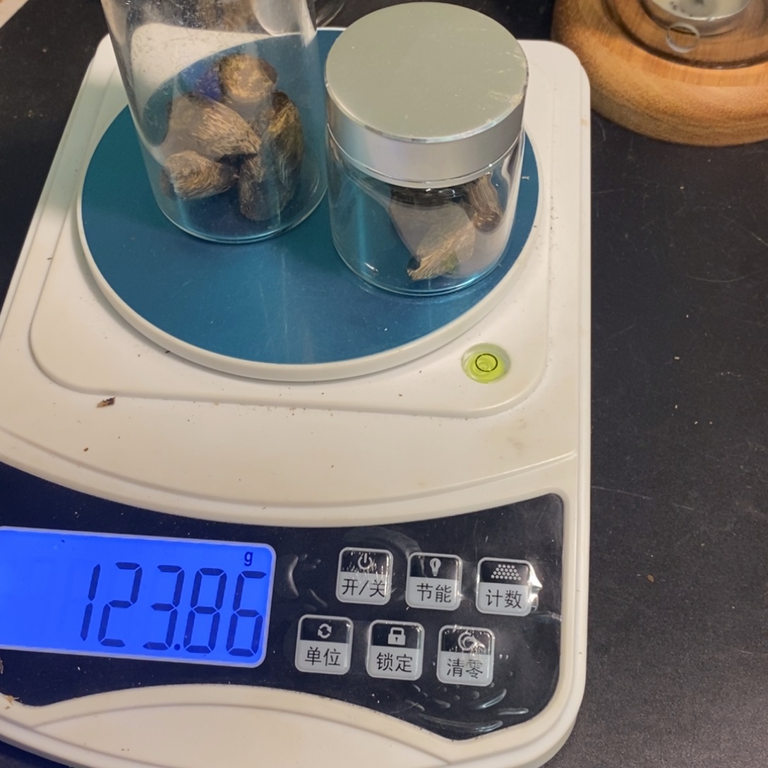 雨***田沉香碎屑沉香树钉熏香料