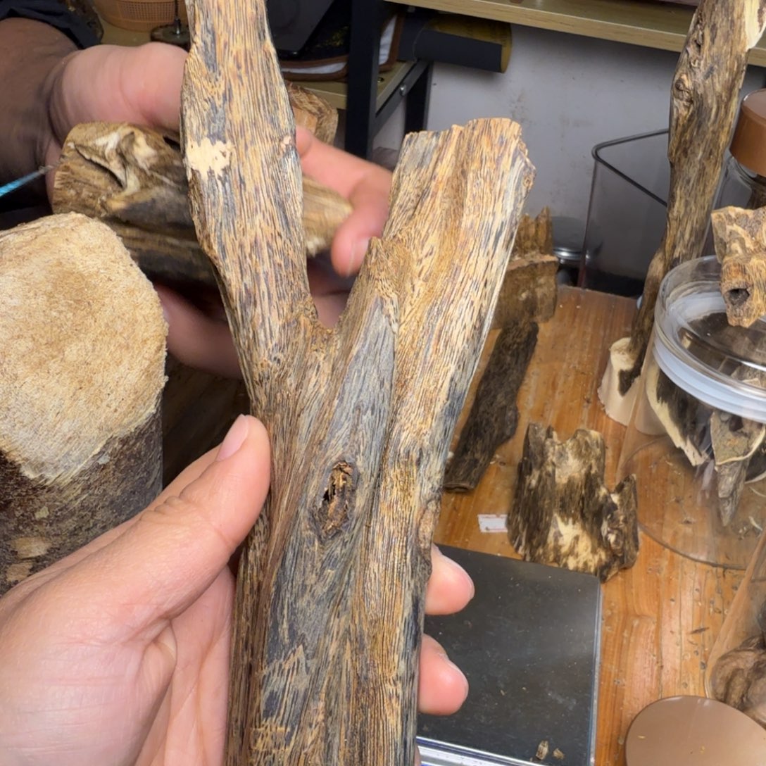 白奇沉香块料沉香