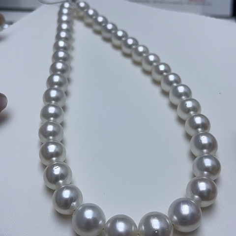 海水珍珠未镶嵌颈饰