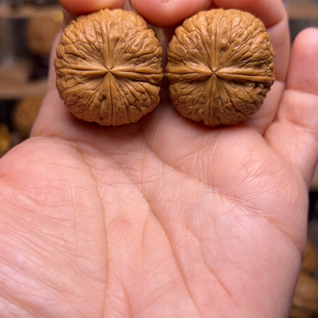 文玩核桃把件19w元宝四棱31尺