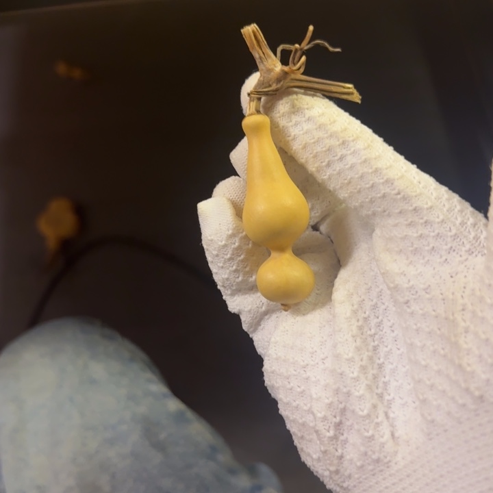 鸿***技大叶紫檀（黑酸枝木类）