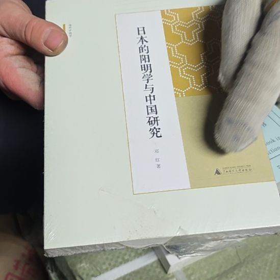 日本的杨明雪雪与中国研究