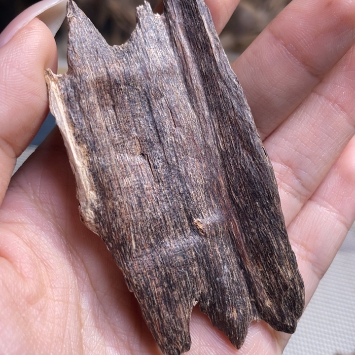 香料海南红油树心2.8克重福利