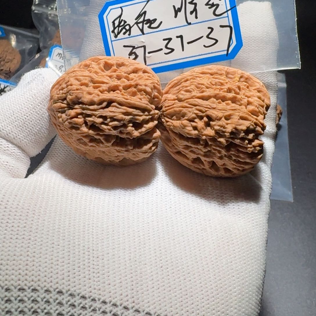 文玩核桃把件22号留疤