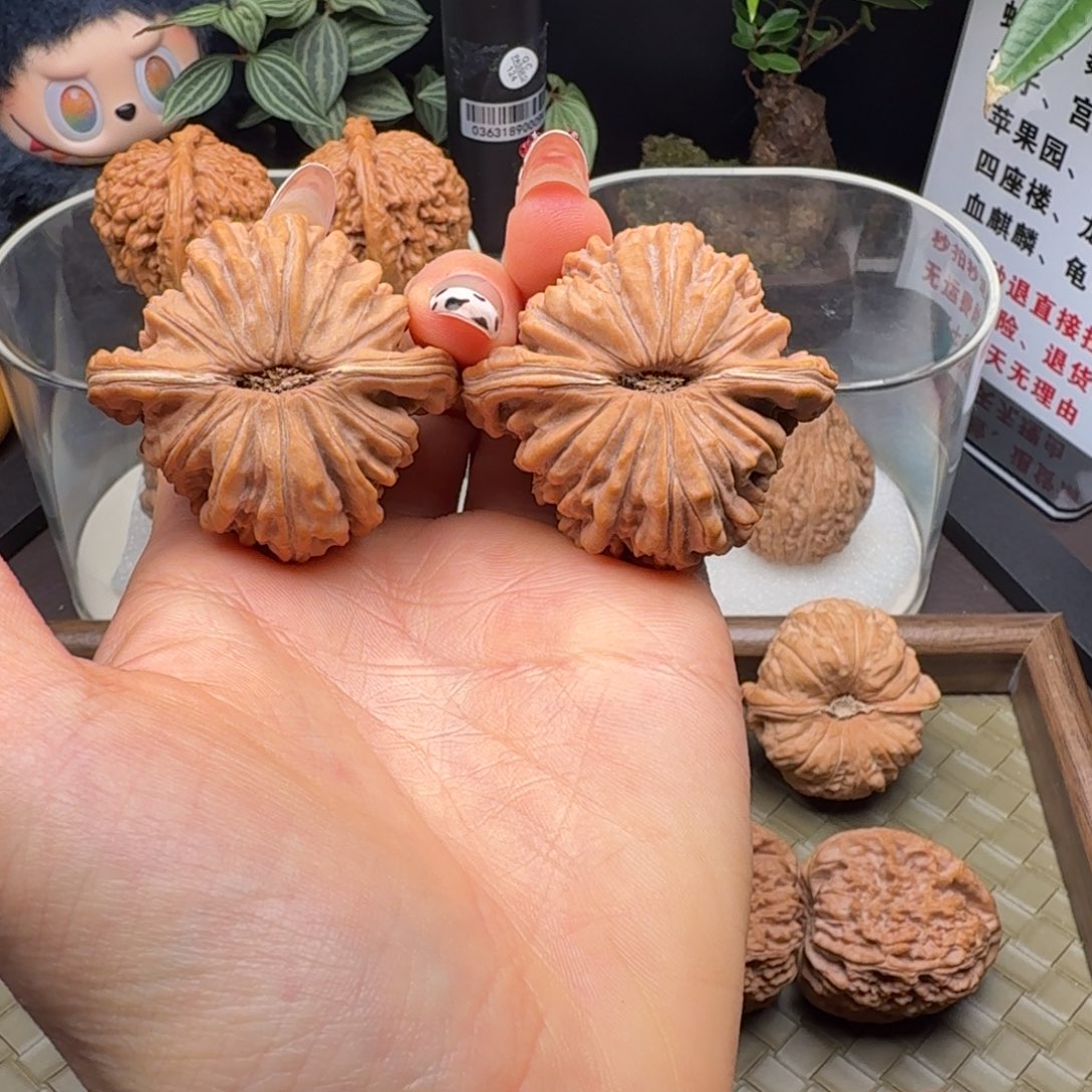 沉***沙核桃全品四座楼（小磕尖）45