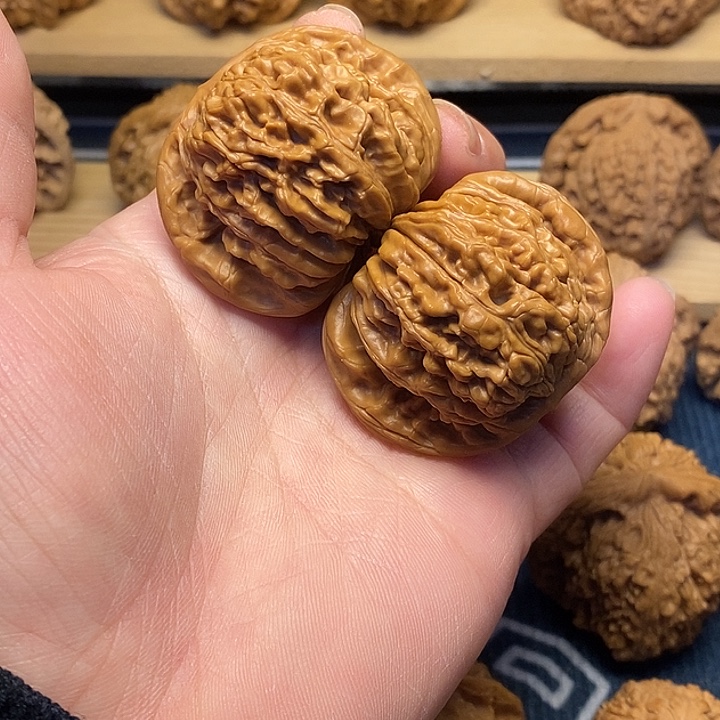 核桃46四座楼福利