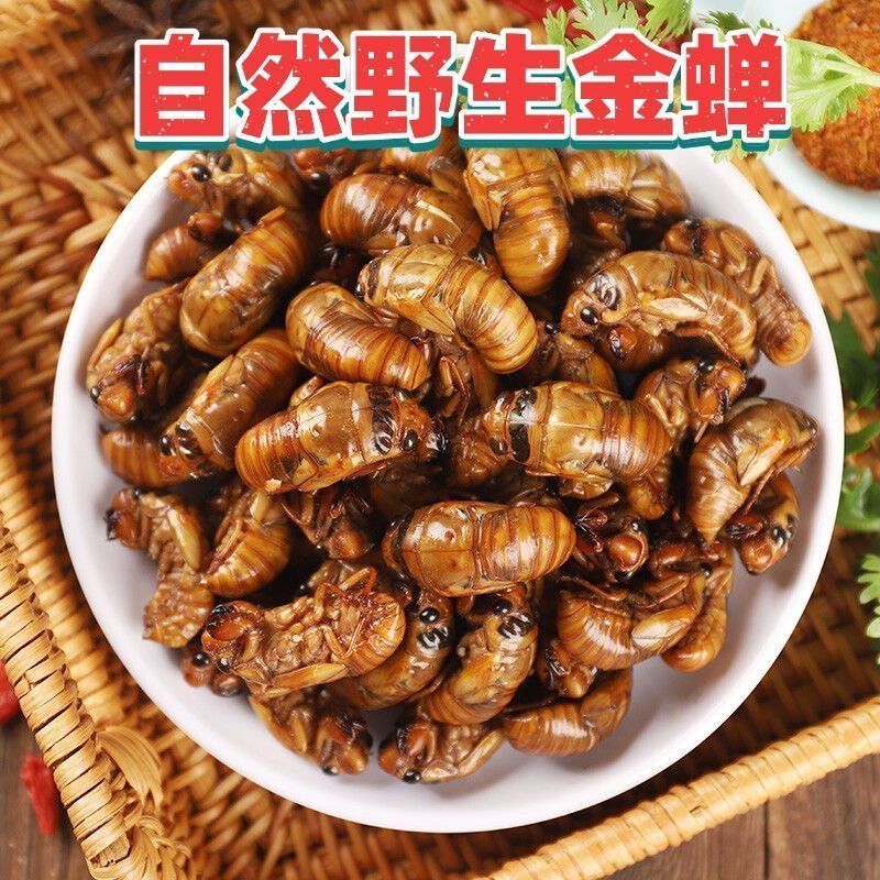 【平台超级补贴】爬叉知了（鲜活速冻冷链发货去泥发货蛋白丰富营养火锅食材