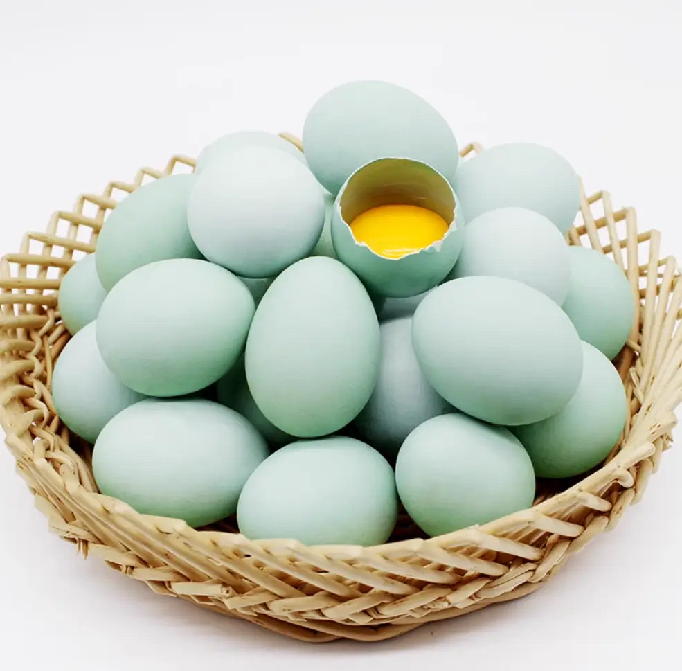 【绿壳初生蛋小个头】大理苍山散养土鸡蛋 无菌无抗 粮食蛋