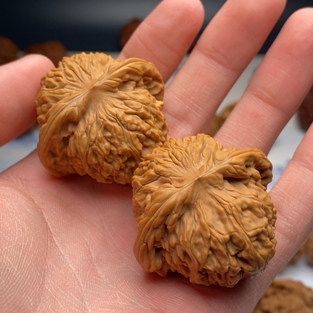 晨****文玩核桃把件核老闷