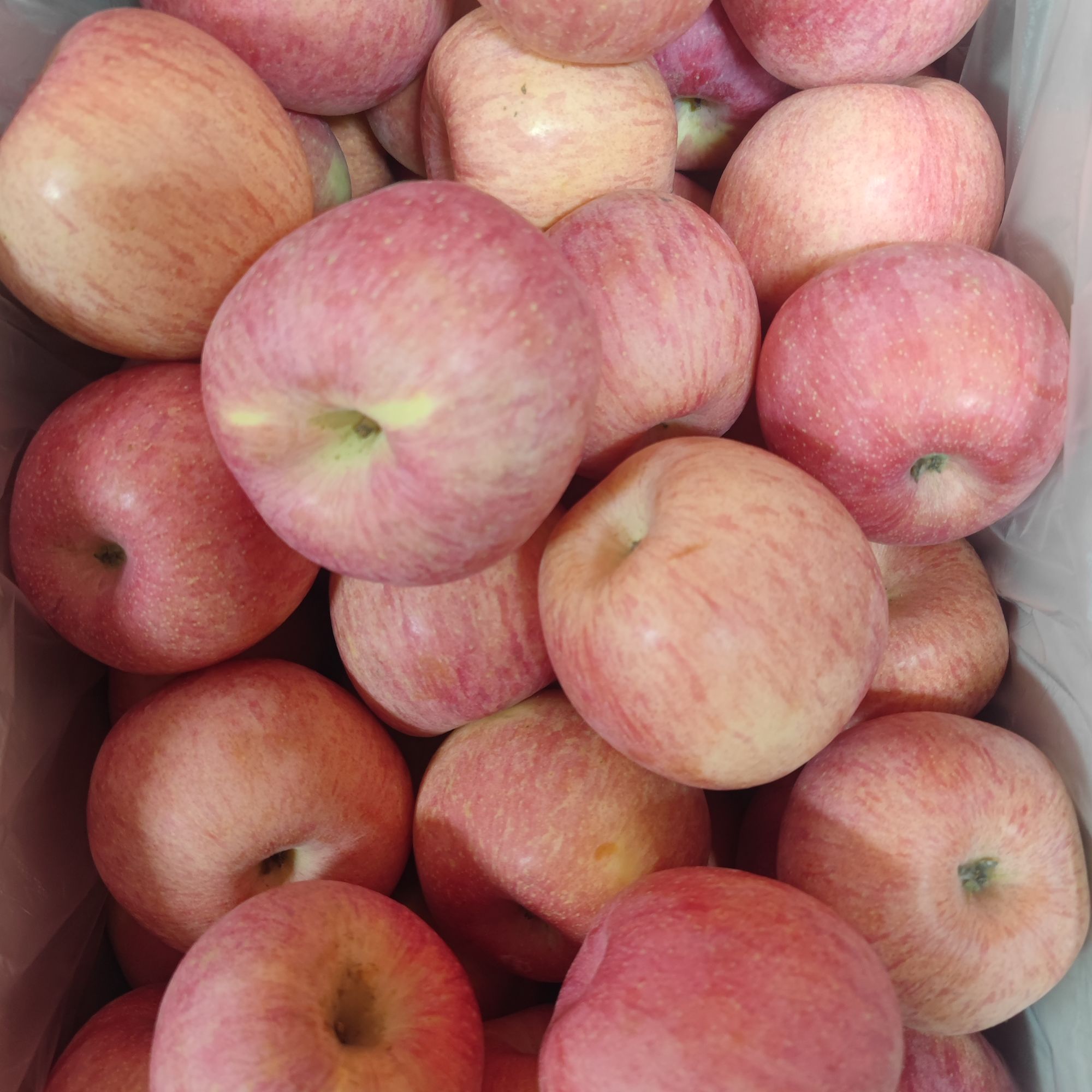 【散称10斤装】脆甜吉县红富士--仅限大同平城区 云冈区可拍