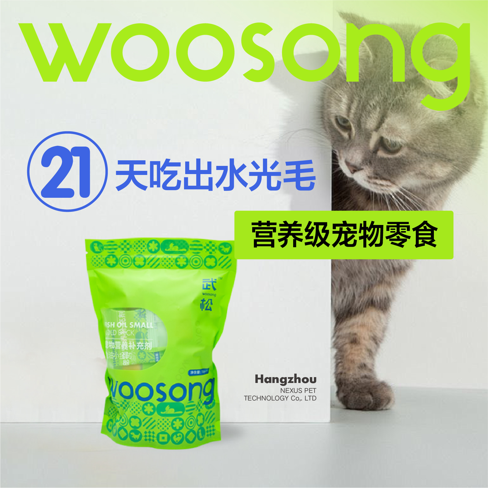 武松Woosong小金砖 美毛亮毛 营养零食 28天提亮美毛