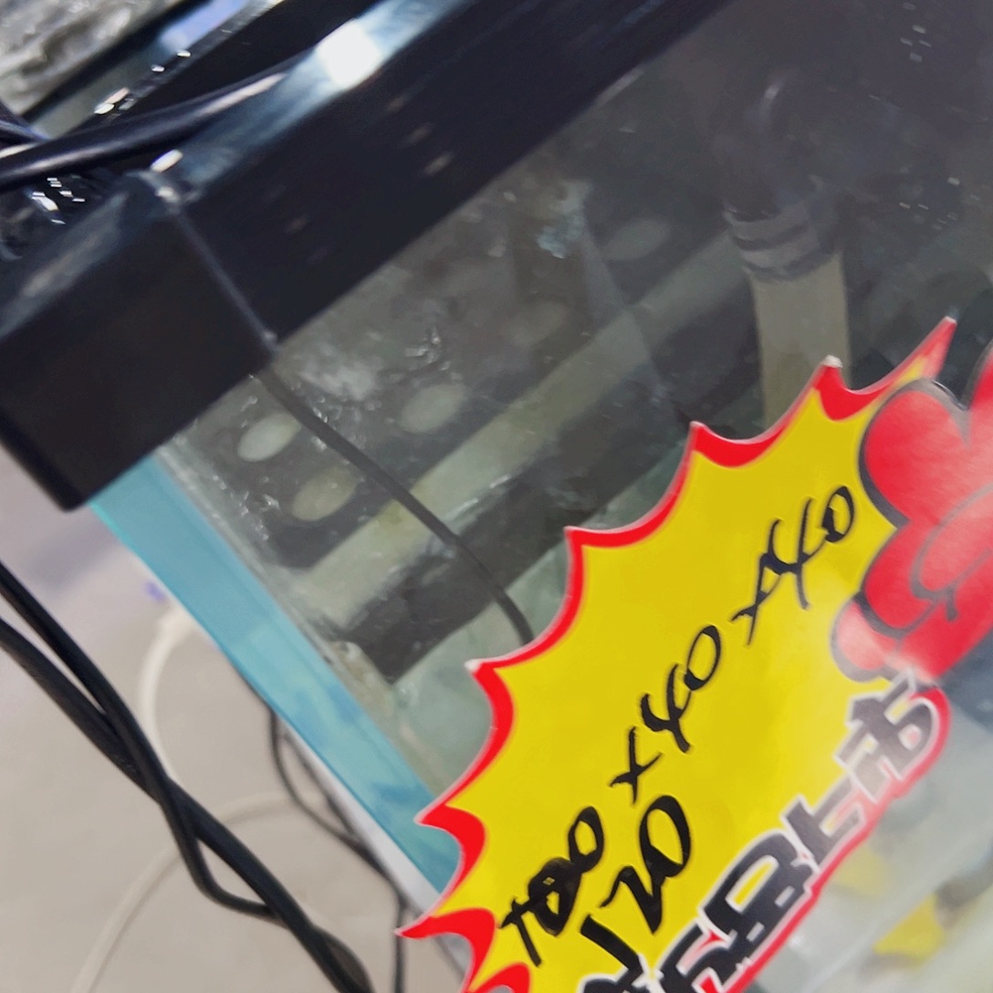 *****玻璃120.40.40侧新款鱼马桶全套配件