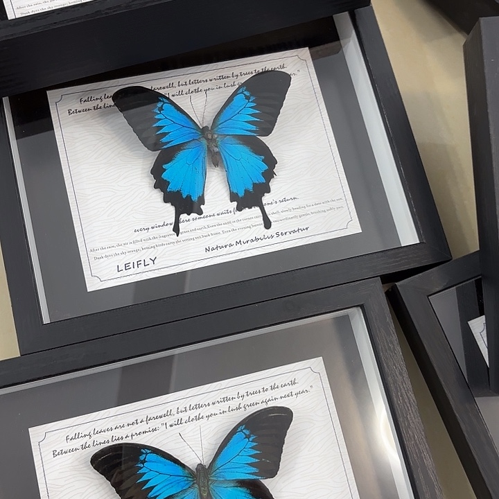 十寸天堂瑕疵随机