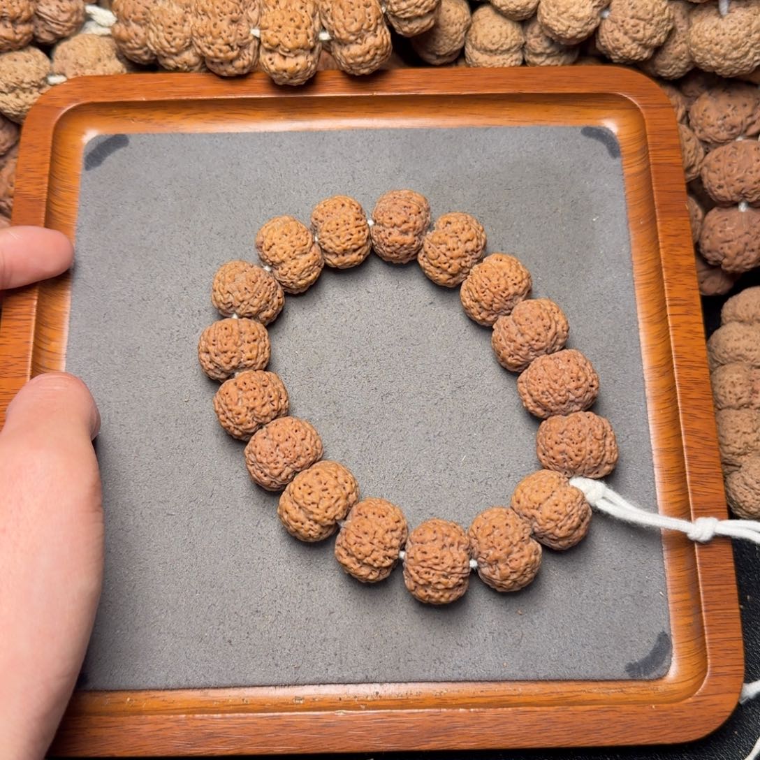 3号尼泊尔大金刚20五星蜂王爆肉