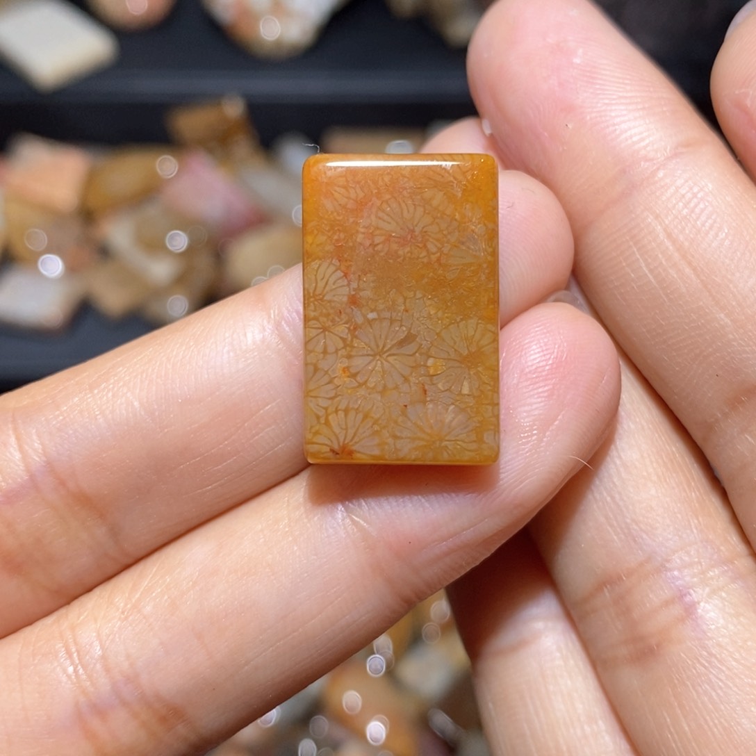 【闪购商品】硅化玉颈饰未镶嵌