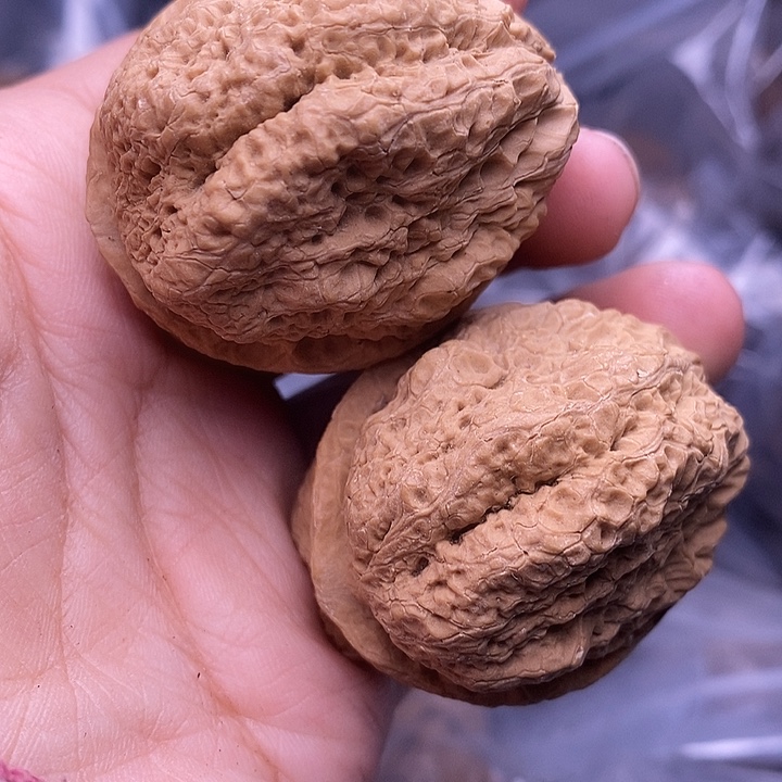 天***空把件文玩核桃   171