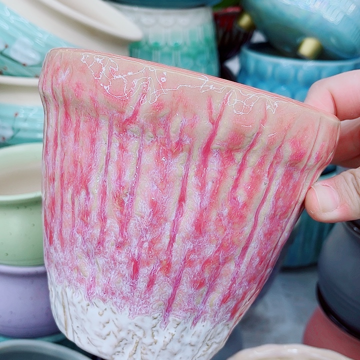 多肉植物陶瓷花盆