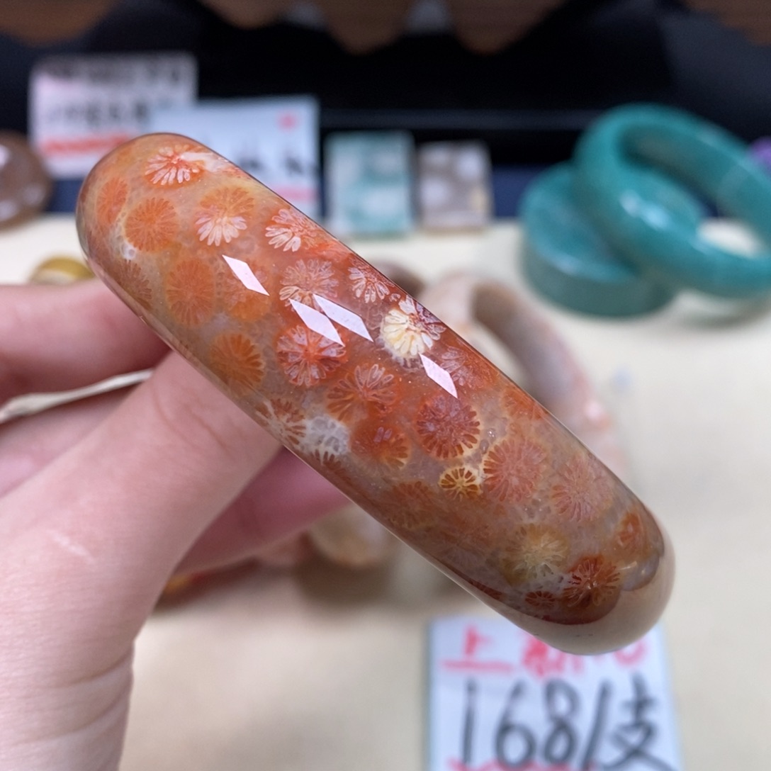 硅化珊瑚（珊瑚玉）60.8未镶嵌