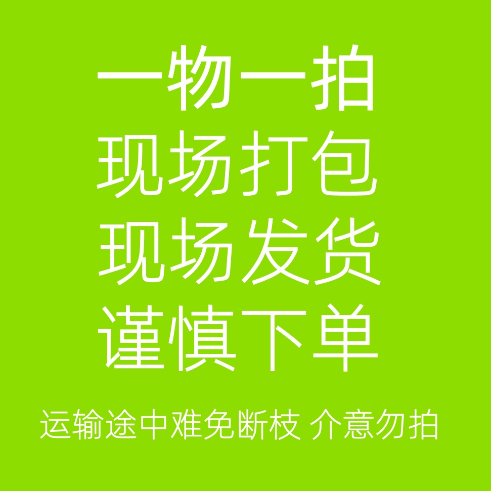 【2号链接】梅花直播间 一物一拍 土球发货