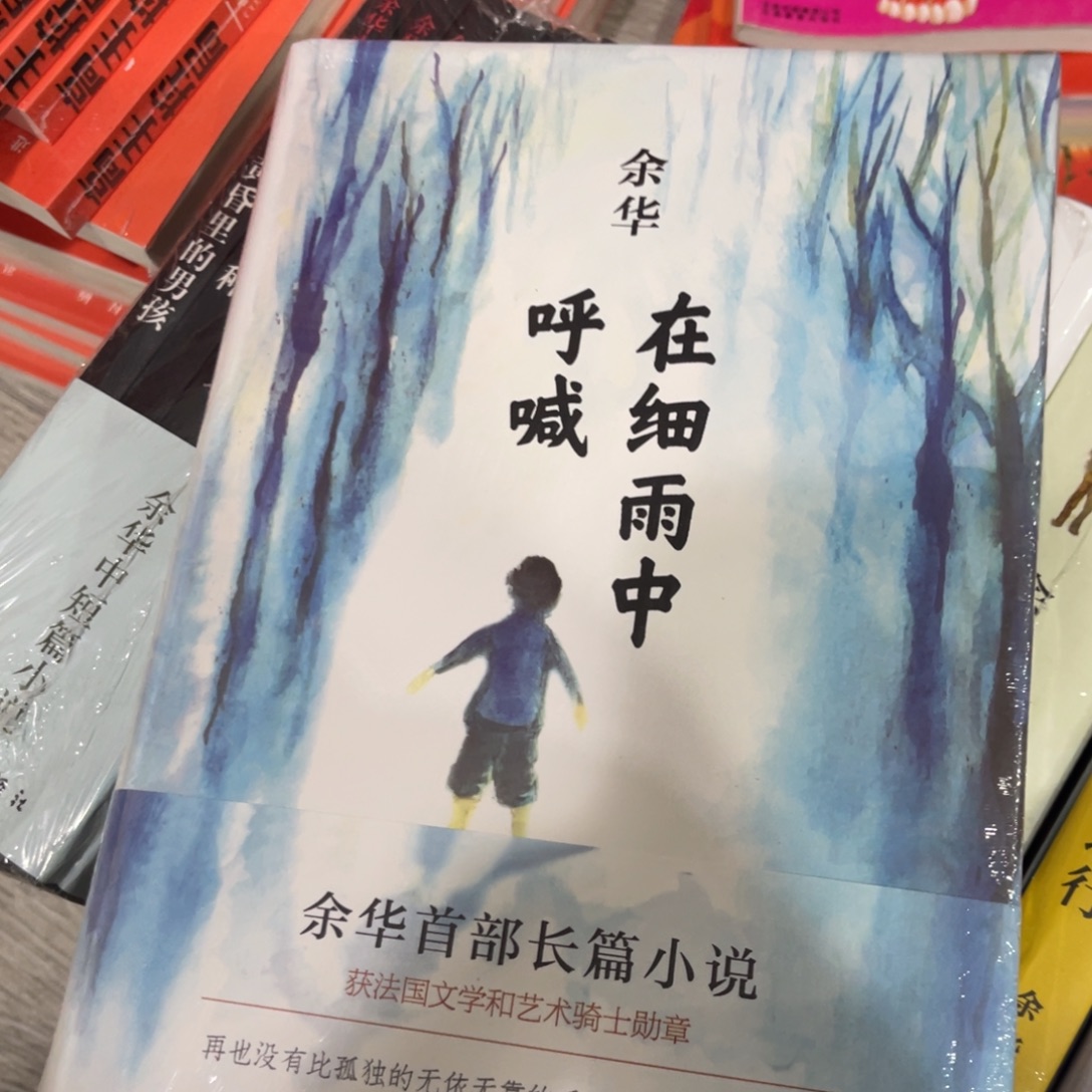 在细雨中呼喊精装