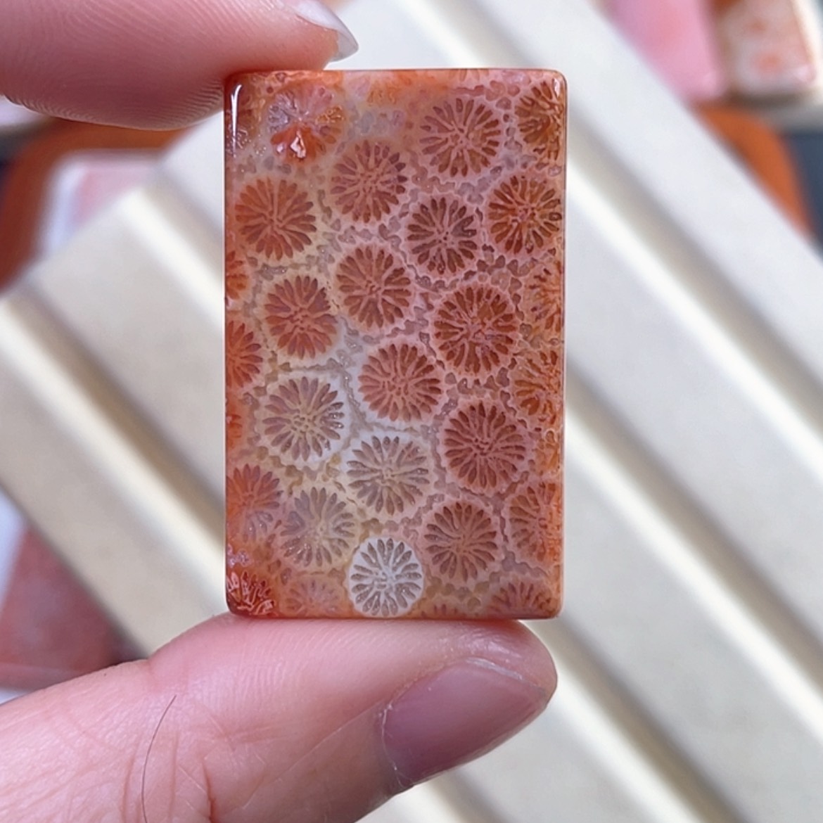 【闪购商品】硅化玉吊坠(赠链)未镶嵌