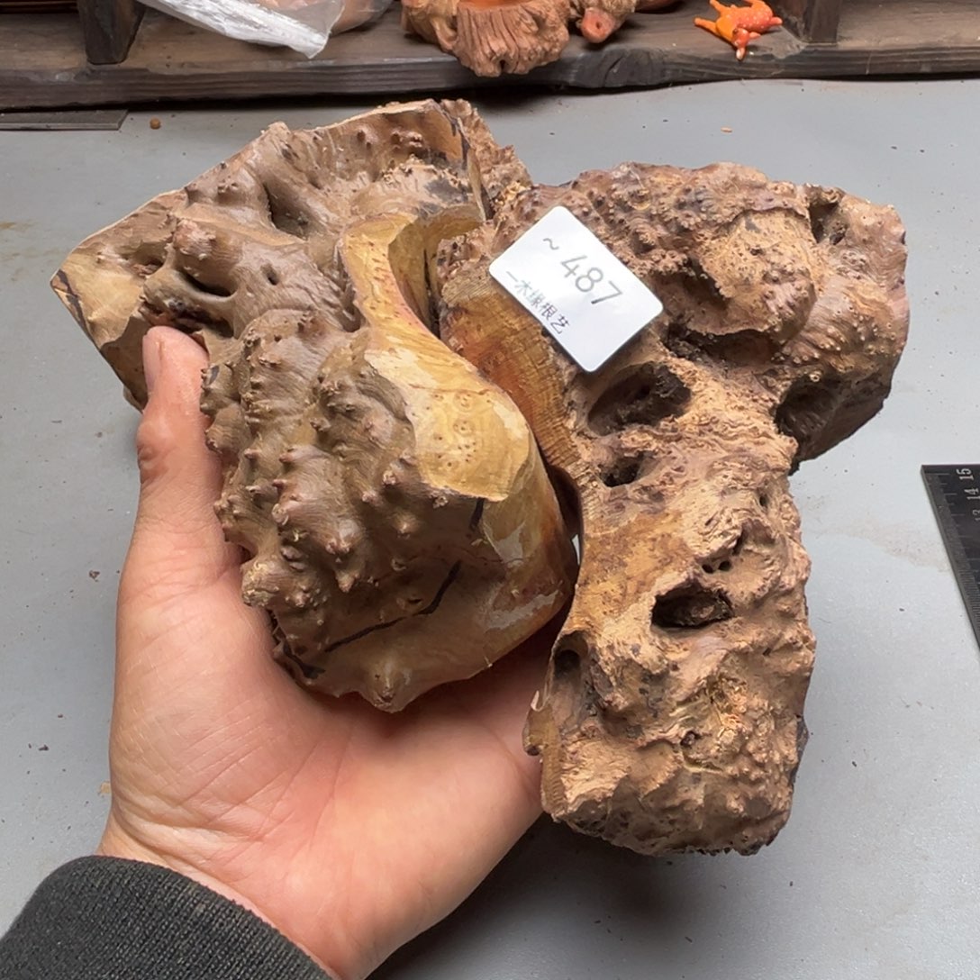 爱***客无花朵0000000000487