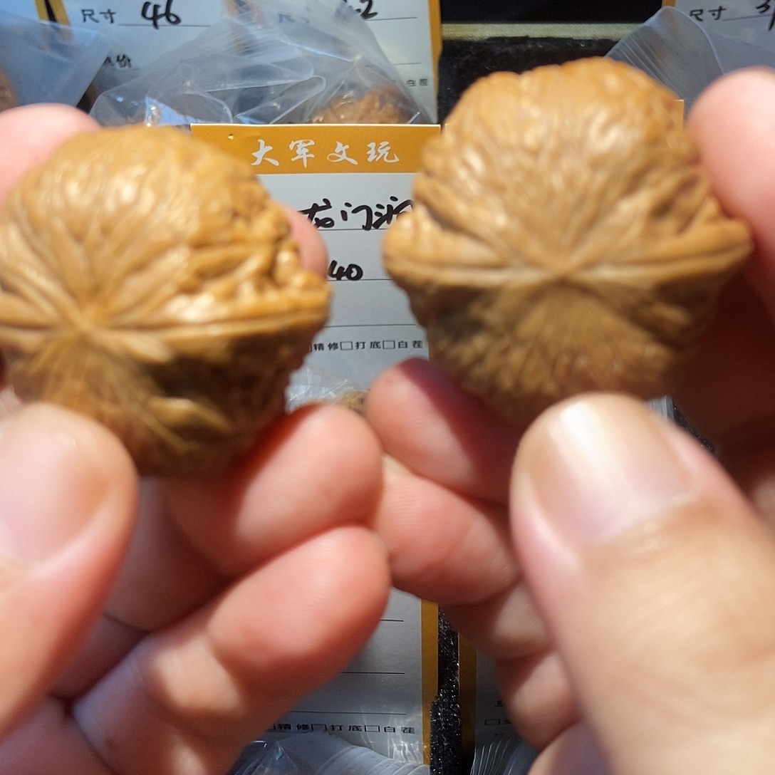 大叶紫檀（黑酸枝木类）