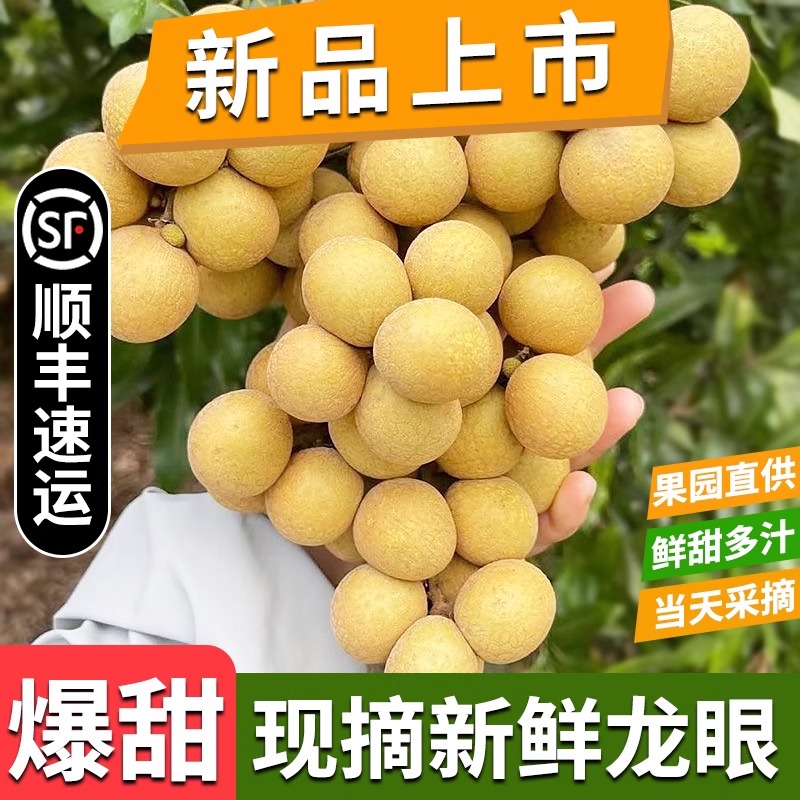 顺丰速运现摘龙眼广东新鲜石硖龙眼当季安铺现摘桂圆整箱热带水果