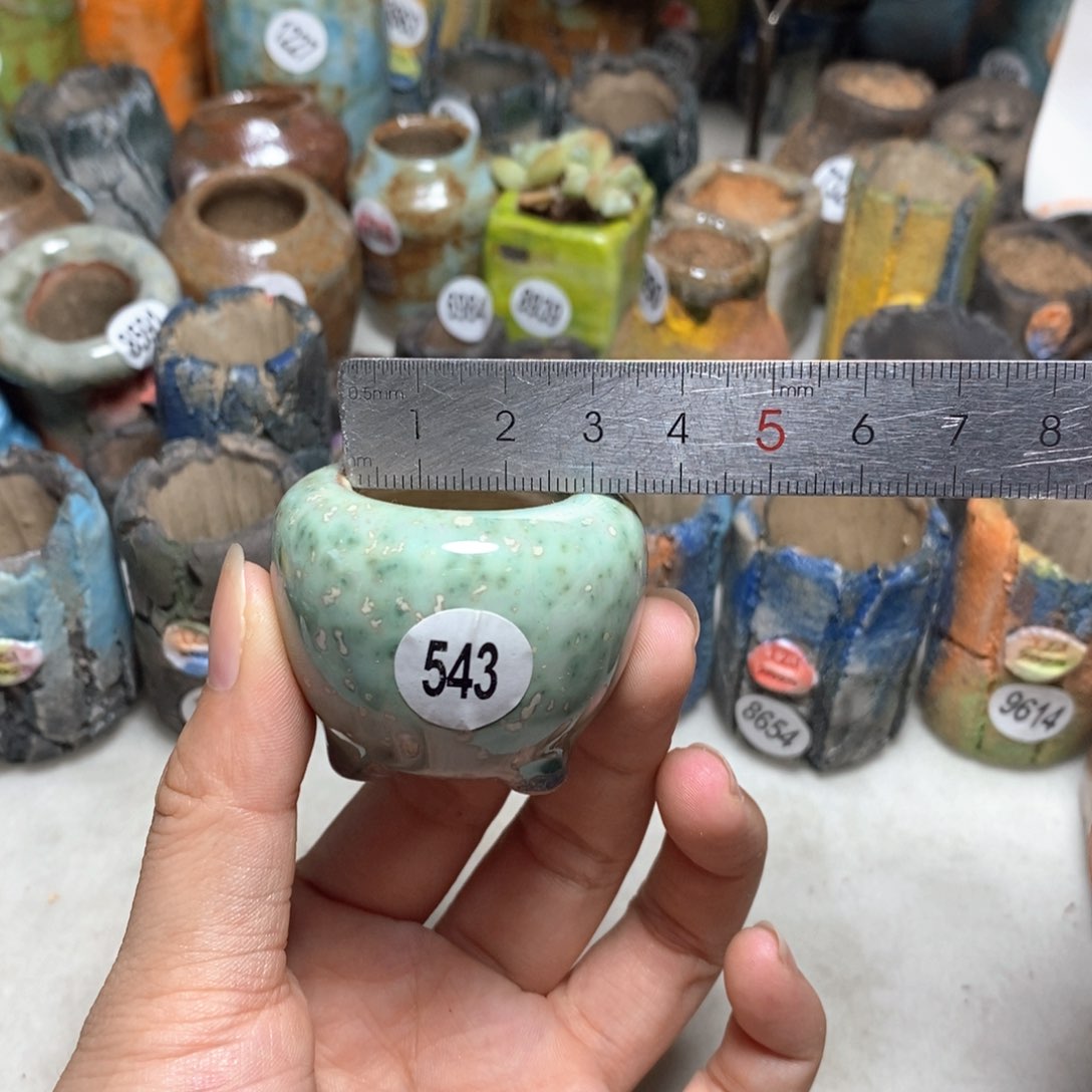 拍5送一个小礼物