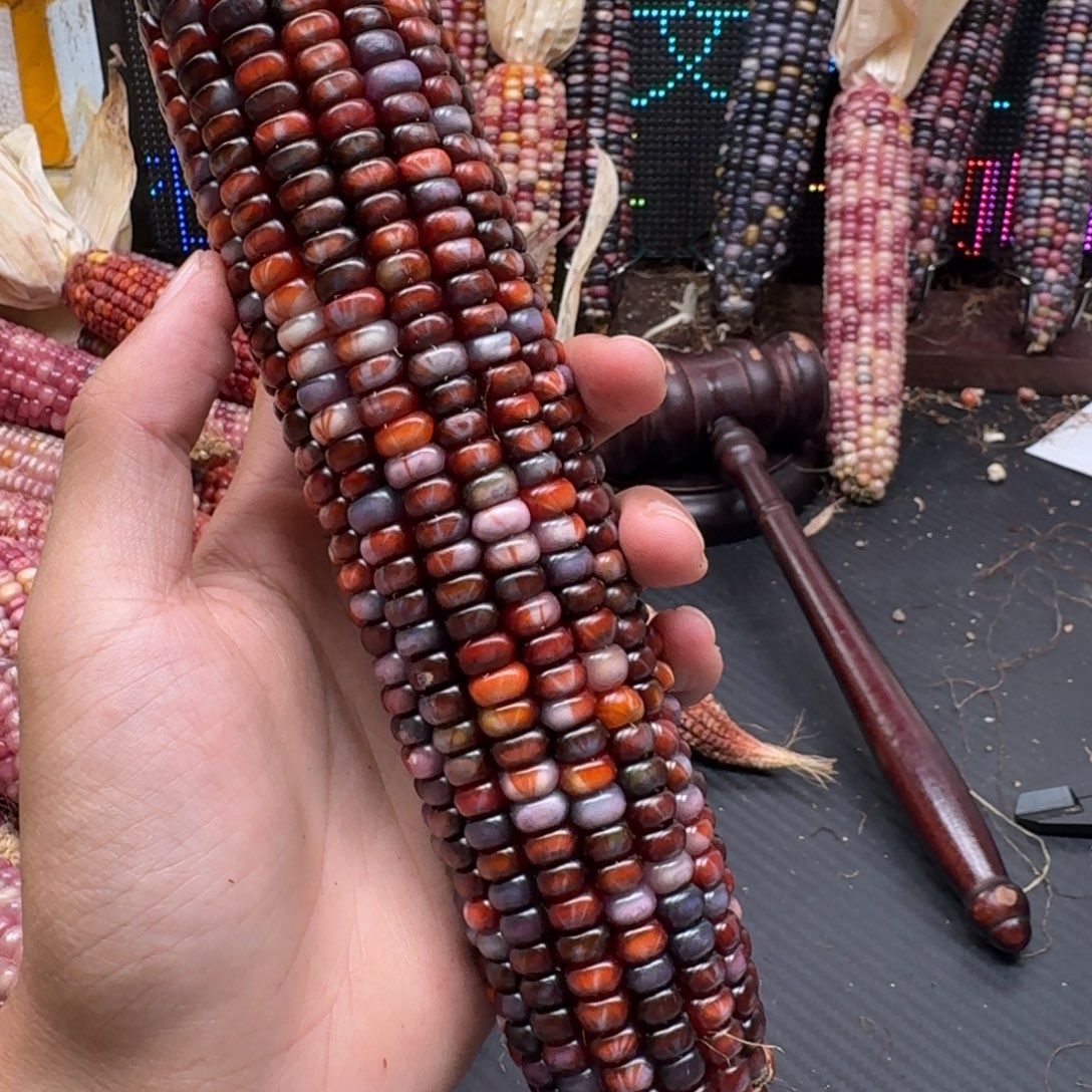 露***娜柏香籽/百香籽吊坠