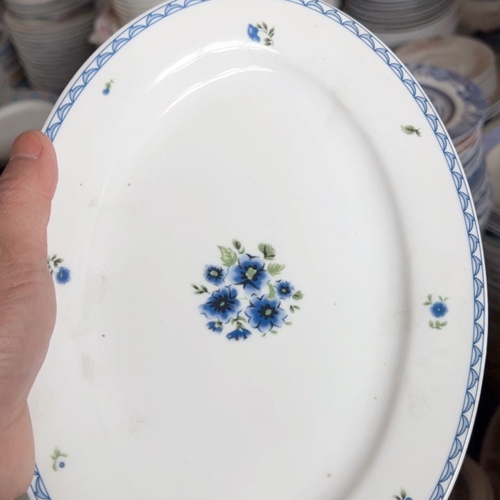 盘十寸老标韩国菊