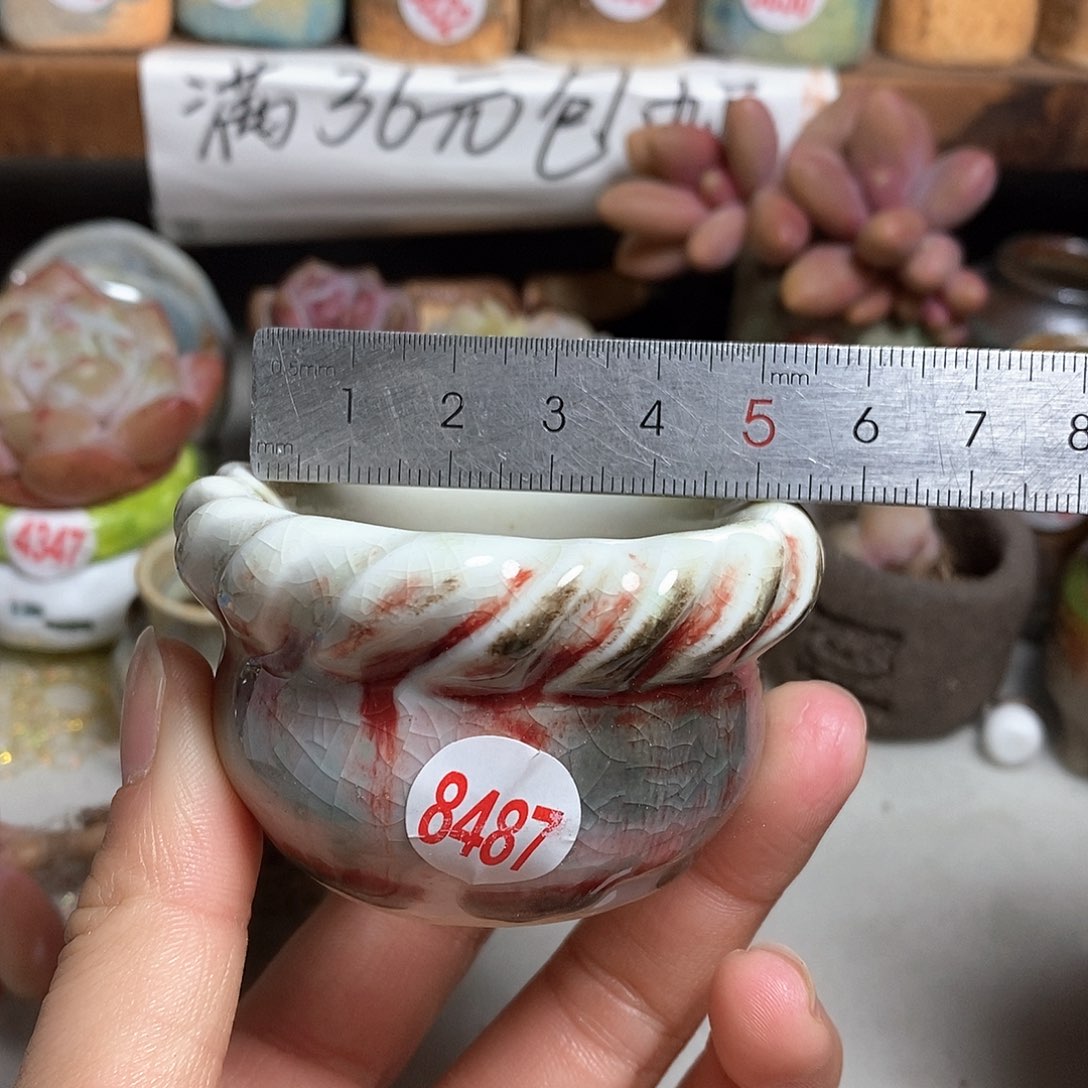 红陶拍5送一个小