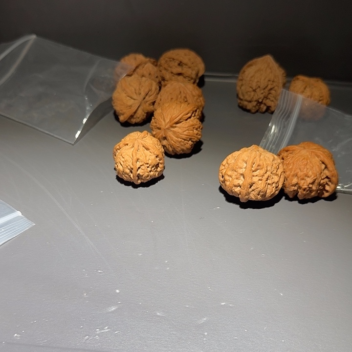 赵***胖文玩核桃把件瓷娃娃