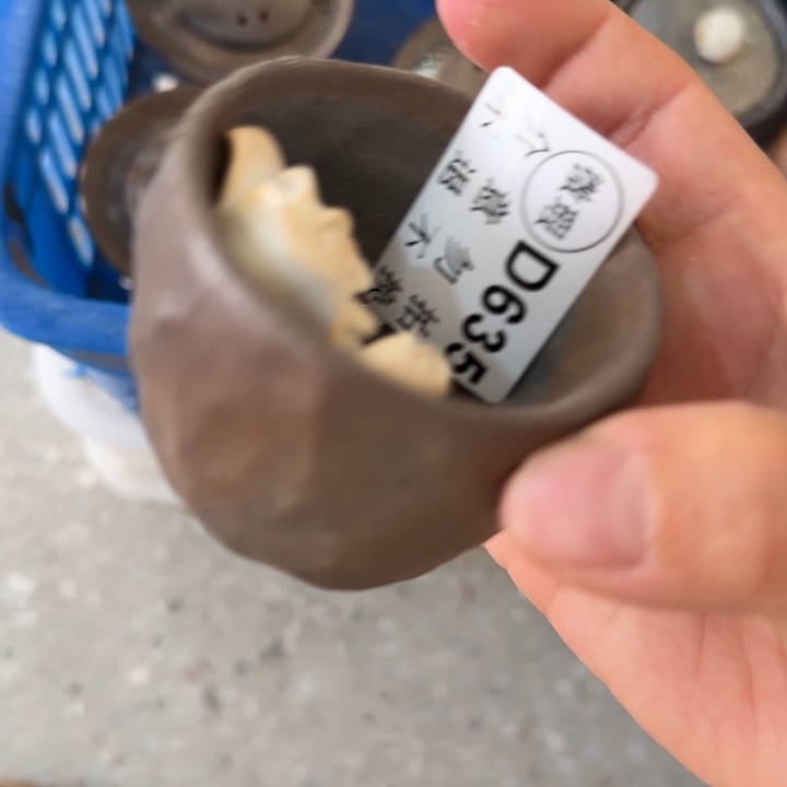 紫砂茶壶柴烧福利新品多多