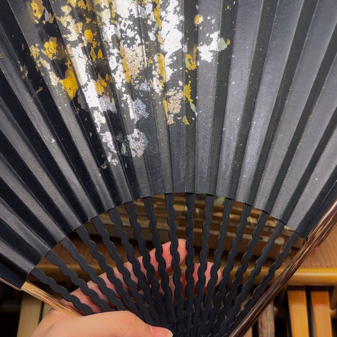 扇子爆炸金龙鳞棕竹