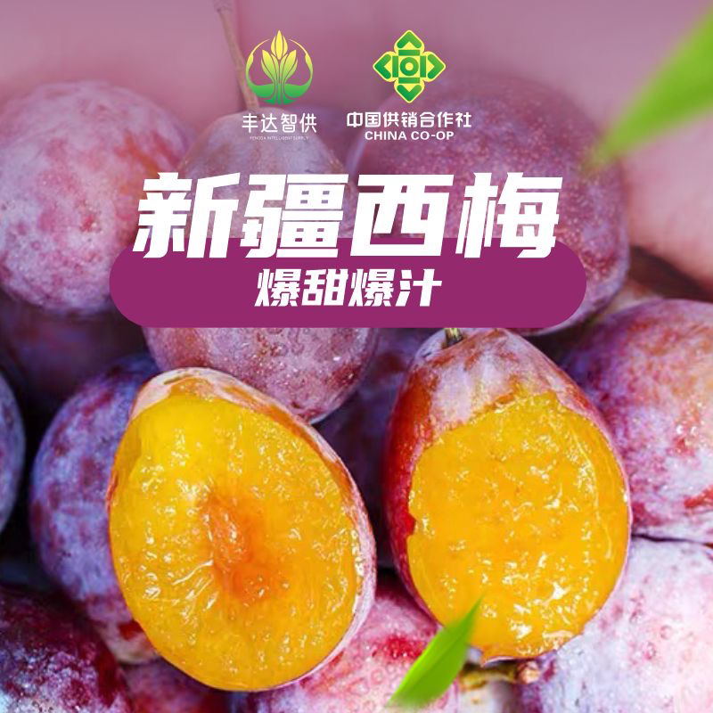 【邮政空运】新疆西梅原产地直发新鲜采摘