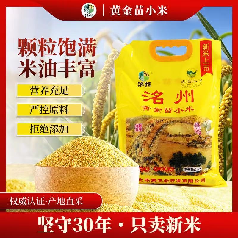 河北特产黄小米营养丰富煮粥香甜米油浓稠新米10斤装