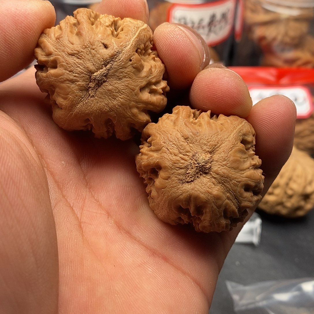 文玩核桃把件与**行霸王龙