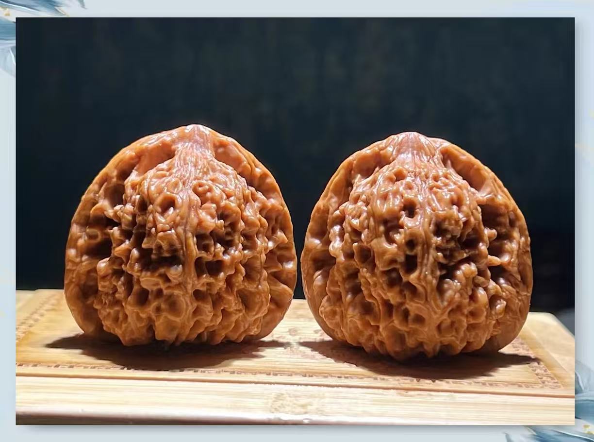 精对老树南将石骨质棒手感佳