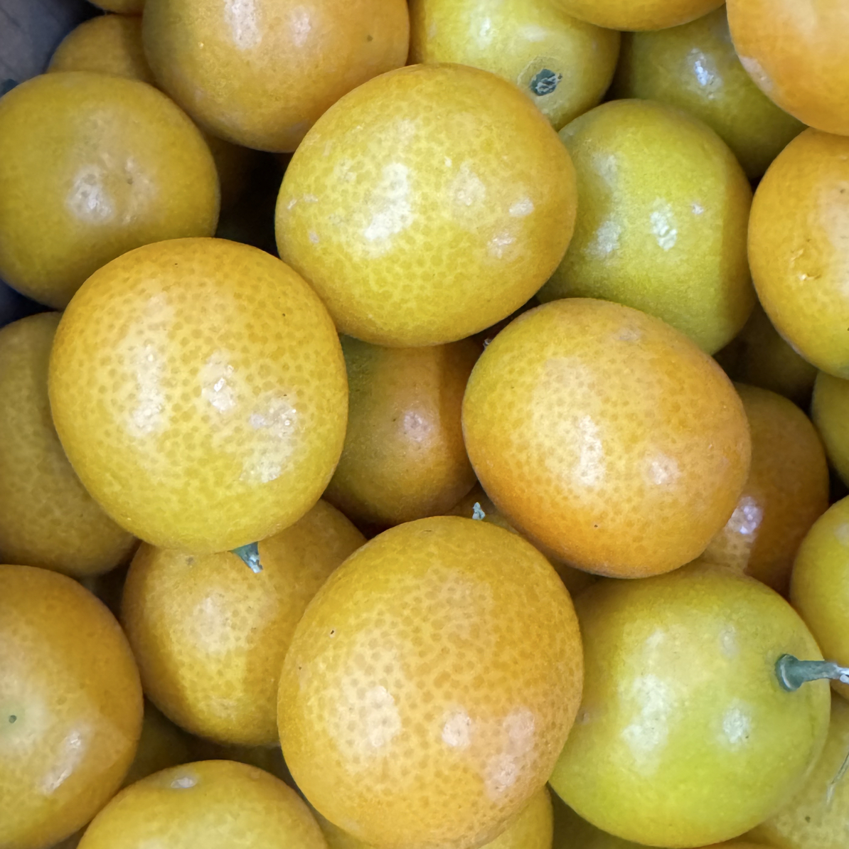 金桔 约500g广东省