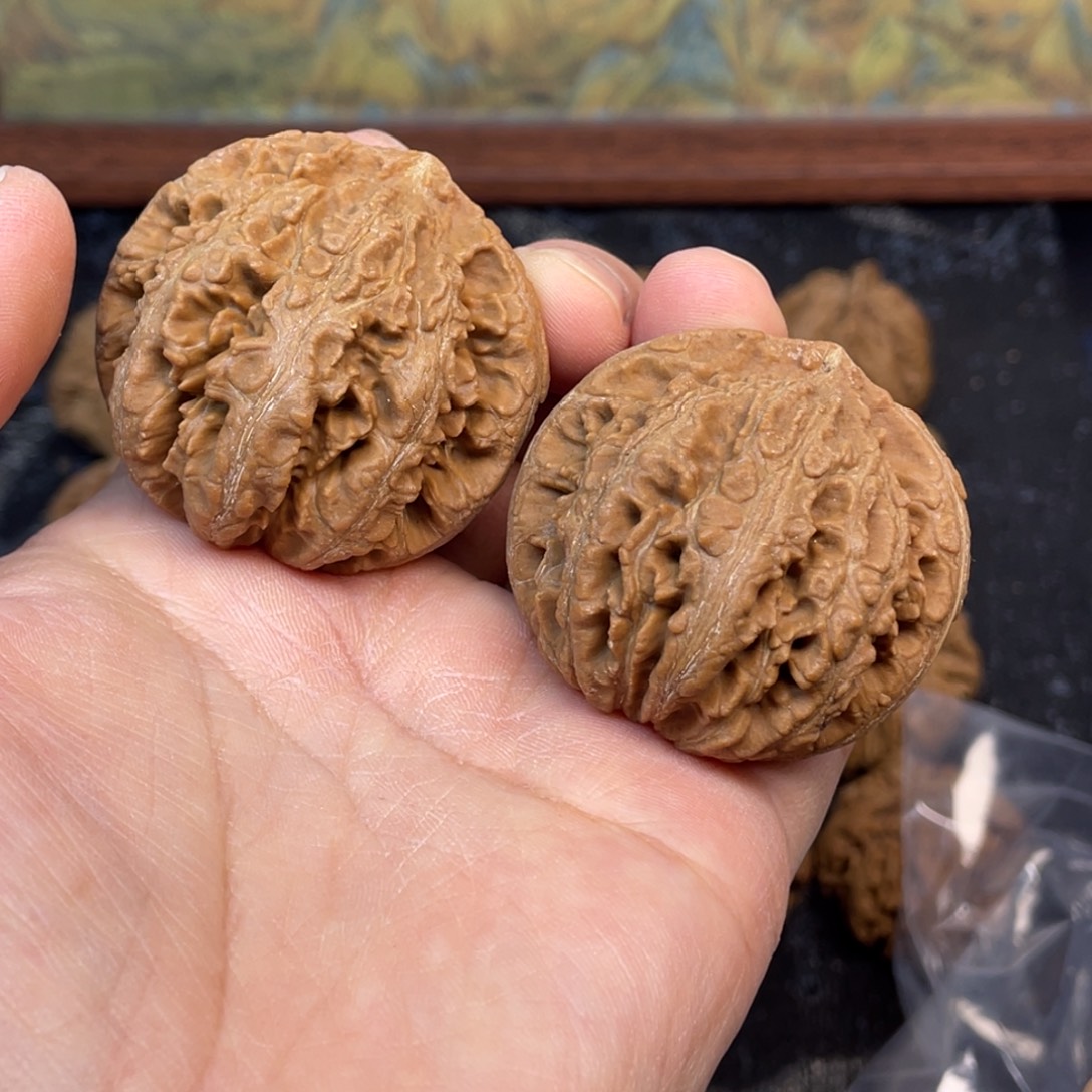 核桃6号链接666666