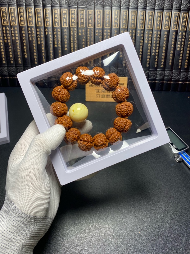 新品满肉梅花金刚菩提：4号