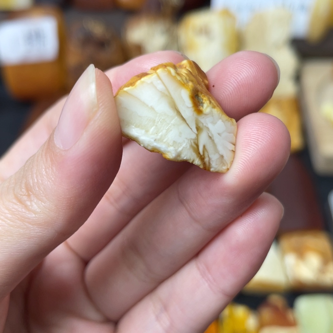 定制蜜蜡未镶嵌原石