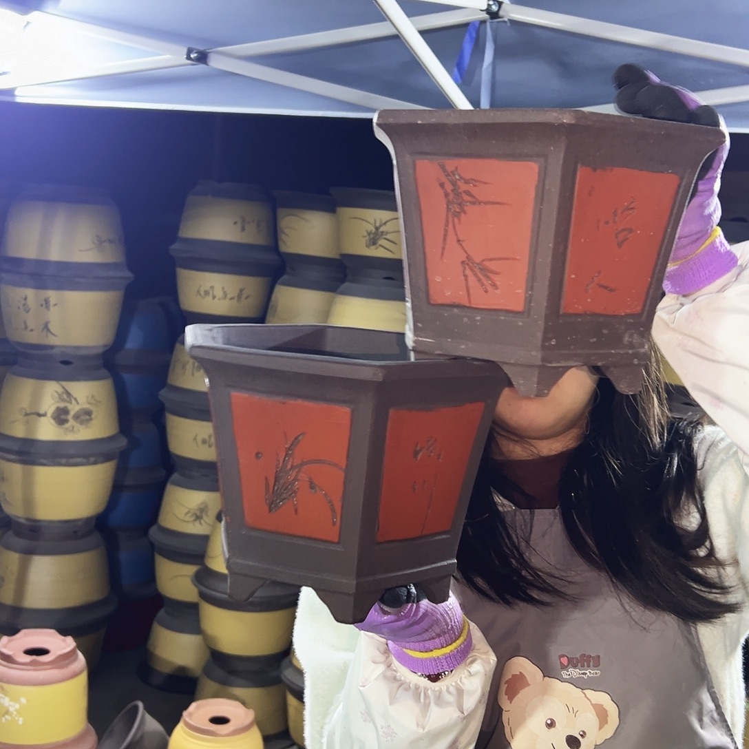 25+25红六方花盆花盆花盆